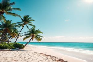 探讨如何根据外链购买方案，实现高效、精准的互联网营销策略