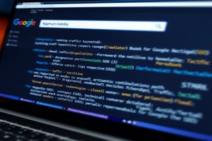 如何构建一个满足特定需求的软件系统？